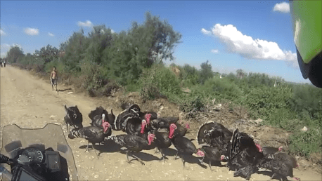 Instantánea 1 (28-07-2017 20-54).png